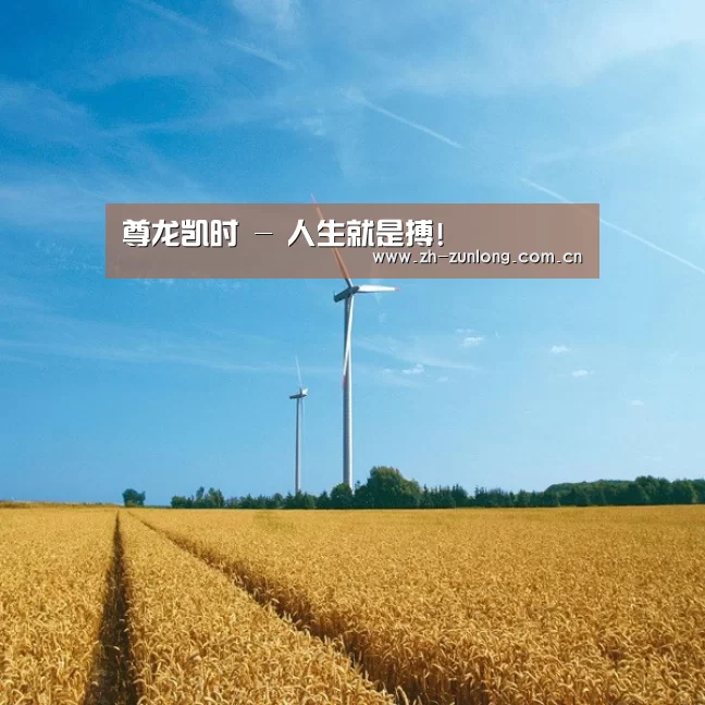 风能