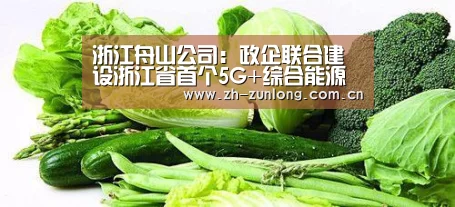 尊龙凯时官网