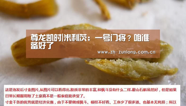 尊龙凯时人生就是搏