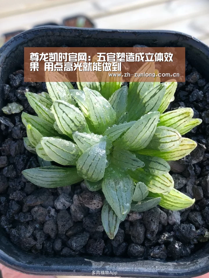 尊龙凯时