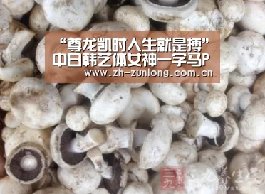 尊龙凯时官网